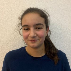 Competitor image