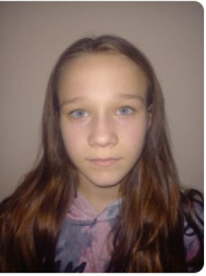 Competitor image